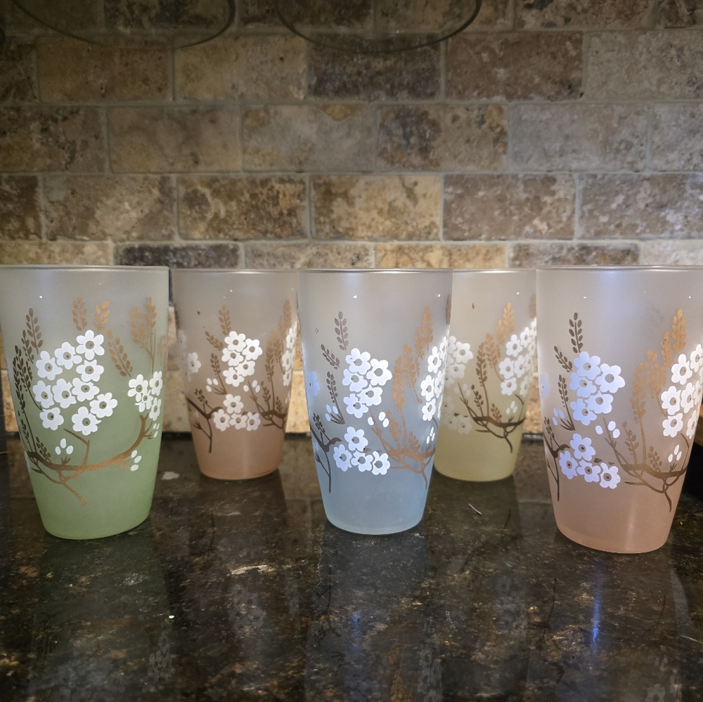 Vintage Libbey Dogwood Glasses.